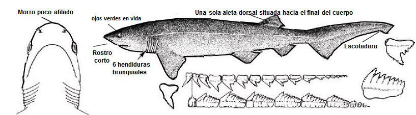 26-11-2014 18-54-31.jpg